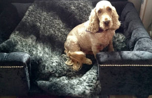 "Sandringham" Dog Beds - Crushed Velvets