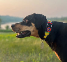 Load image into Gallery viewer, Greyhound beaded leather Dog Collars - Neck size 15"-17" (38-44cm) 2" (5cm) wide - Click to select colour Scott's of London