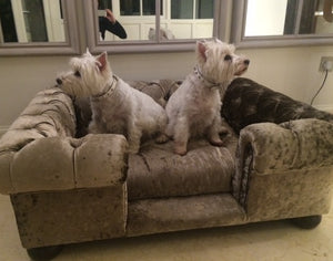 "Balmoral" Dog Beds - Crushed Velvets