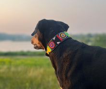 Load image into Gallery viewer, Greyhound beaded leather Dog Collars - Neck size 15&quot;-17&quot; (38-44cm) 2&quot; (5cm) wide - Click to select colour