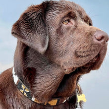 Load image into Gallery viewer, XL/Mountain breeds beaded leather Dog Collars - Neck size 21&quot;-23&quot; (53-59cm) 1&quot; (3cm) wide - Click to select colour