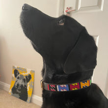 Load image into Gallery viewer, Medium breed (wide) beaded leather Dog Collars - Neck size 15"-17" (38-44cm)  1" (3cm) wide - Click to select colour Scott's of London