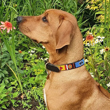 Load image into Gallery viewer, Large breed beaded leather Dog Collars - Neck size 18"-20" (46-51cm) 3/4" (2cm) wide - Click to select colour Scott's of London