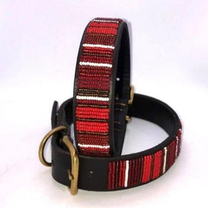XL/Mountain breeds beaded leather Dog Collars - Neck size 21"-23" (53-59cm) 1" (3cm) wide - Click to select colour