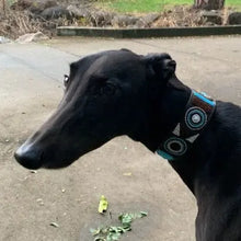 Load image into Gallery viewer, Greyhound beaded leather Dog Collars - Neck size 15"-17" (38-44cm) 2" (5cm) wide - Click to select colour Scott's of London