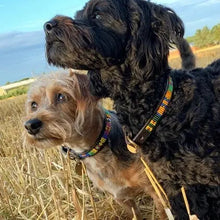 Load image into Gallery viewer, Puppy/Toy Dog beaded leather collars - Neck size 9"-11" (23-29cm) 1/2" (1.5cm) wide - Click to select colour Scott's of London