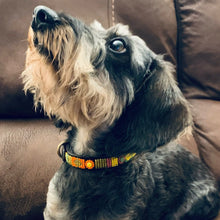 Load image into Gallery viewer, Puppy/Toy Dog beaded leather collars - Neck size 9"-11" (23-29cm) 1/2" (1.5cm) wide - Click to select colour Scott's of London