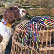 Load image into Gallery viewer, Toy &amp; Small beaded leather Dog Leads - 1/2&quot; (1.5cm) wide - 44&quot; (112cm) long - Click to select colour