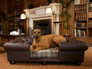 "Balmoral" Dog Beds - Faux Leathers