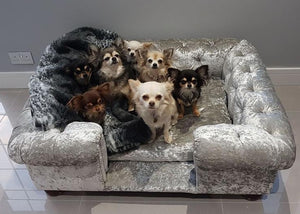 "Balmoral" Dog Beds - Crushed Velvets