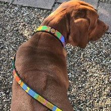 Load image into Gallery viewer, Medium &amp; Large breed beaded leather Dog Leads - 3/4&quot; (2cm) wide - 44&quot; (112cm) Long - Click to select colour