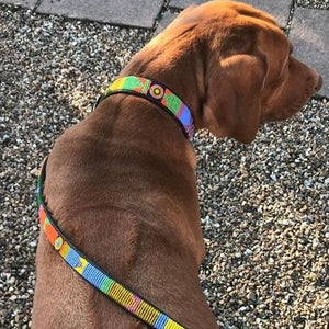 Medium & Large breed beaded leather Dog Leads - 3/4" (2cm) wide - 44" (112cm) Long - Click to select colour