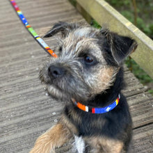 Load image into Gallery viewer, Toy &amp; Small beaded leather Dog Leads - 1/2&quot; (1.5cm) wide - 44&quot; (112cm) long - Click to select colour