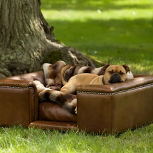 Load image into Gallery viewer, "Windsor" Luxury Dog Beds - Real Leathers Scott's of London