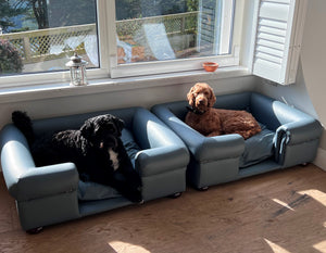 "Buckingham" Dog Beds - Real Leathers