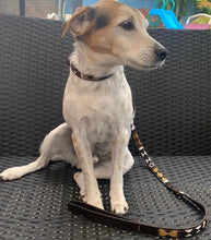 Load image into Gallery viewer, Toy &amp; Small beaded leather Dog Leads - 1/2&quot; (1.5cm) wide - 44&quot; (112cm) long - Click to select colour