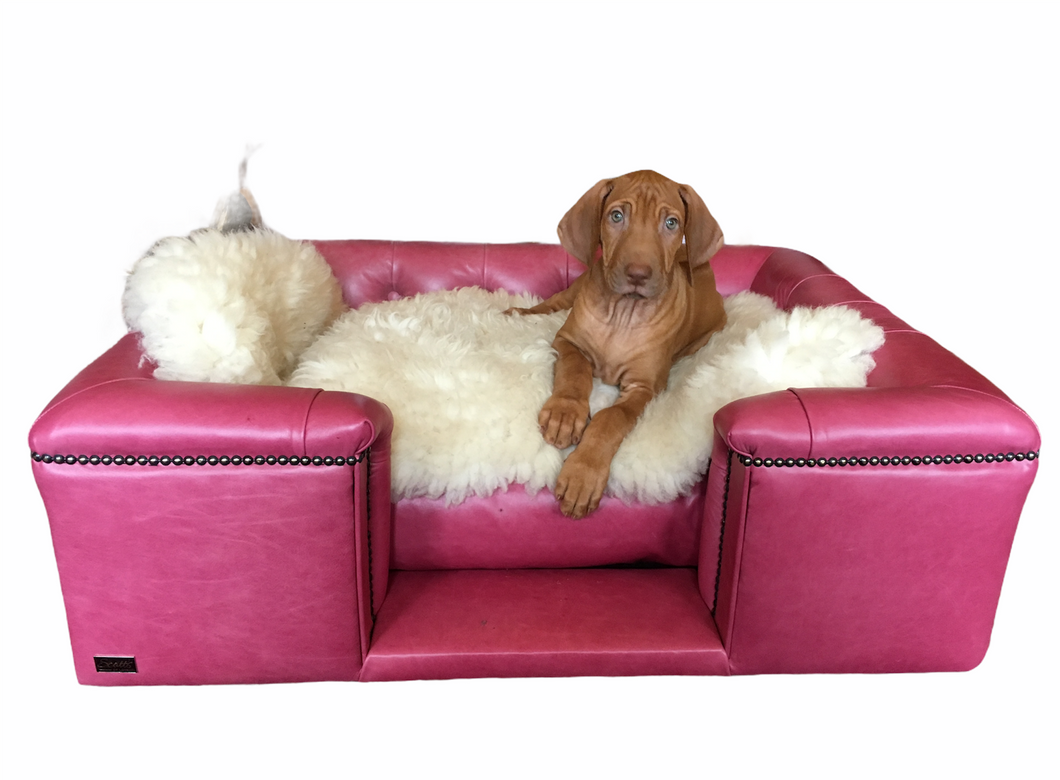 Medium Sandringham bed in Pink Real leather - Ex-Display