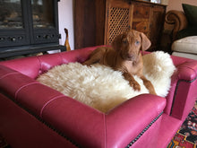 Load image into Gallery viewer, Medium Sandringham bed in Pink Real leather - Ex-Display