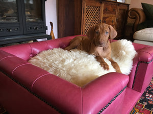 Medium Sandringham bed in Pink Real leather - Ex-Display