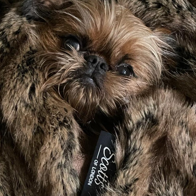 Faux Fur Throws