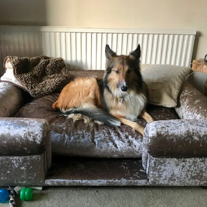 "Buckingham" Dog Beds - Crushed Velvets