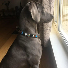 Load image into Gallery viewer, Large breed (wide) beaded leather Dog Collars - Neck size 18"-20" (46-51cm) 1" (3cm) wide - Click to select colours Scott's of London