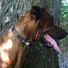 Load image into Gallery viewer, Large breed (wide) beaded leather Dog Collars - Neck size 18"-20" (46-51cm) 1" (3cm) wide - Click to select colours Scott's of London
