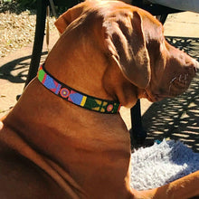 Load image into Gallery viewer, Large breed (wide) beaded leather Dog Collars - Neck size 18"-20" (46-51cm) 1" (3cm) wide - Click to select colours Scott's of London