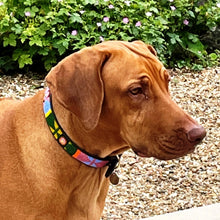 Load image into Gallery viewer, Large breed (wide) beaded leather Dog Collars - Neck size 18"-20" (46-51cm) 1" (3cm) wide - Click to select colours Scott's of London