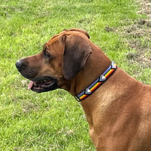Load image into Gallery viewer, Large breed (wide) beaded leather Dog Collars - Neck size 18"-20" (46-51cm) 1" (3cm) wide - Click to select colours Scott's of London