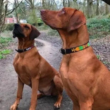 Load image into Gallery viewer, Large breed (wide) beaded leather Dog Collars - Neck size 18"-20" (46-51cm) 1" (3cm) wide - Click to select colours Scott's of London