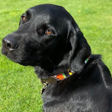 Load image into Gallery viewer, Large breed (wide) beaded leather Dog Collars - Neck size 18"-20" (46-51cm) 1" (3cm) wide - Click to select colours Scott's of London