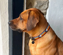 Load image into Gallery viewer, Large breed (wide) beaded leather Dog Collars - Neck size 18"-20" (46-51cm) 1" (3cm) wide - Click to select colours Scott's of London