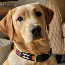 Load image into Gallery viewer, Large breed (wide) beaded leather Dog Collars - Neck size 18"-20" (46-51cm) 1" (3cm) wide - Click to select colours Scott's of London