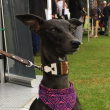 Load image into Gallery viewer, Lurcher beaded leather Dog Collars - Neck size 13"-15" (33-39cm) 2" (5cm) wide - Click to select colour Scott's of London
