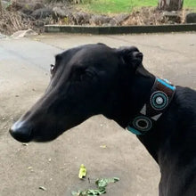 Load image into Gallery viewer, Lurcher beaded leather Dog Collars - Neck size 13"-15" (33-39cm) 2" (5cm) wide - Click to select colour Scott's of London