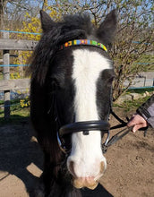 Load image into Gallery viewer, Beaded leather Brow-Bands 3/4" (2cm) wide Scott's of London