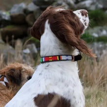 Load image into Gallery viewer, Medium breed beaded leather Dog Collars - Neck size 15"-17" (38-44cm) 3/4" (2cm) wide - Click to select colour Scott's of London
