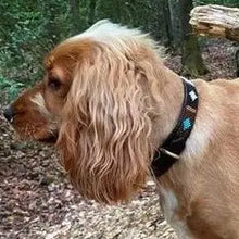 Load image into Gallery viewer, Small breed (long) beaded leather Dog Collars - Neck size 12"-14" (30-36cm) 3/4" (2cm) wide - Click to select colour Scott's of London