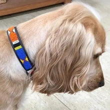 Load image into Gallery viewer, Small breed (long) beaded leather Dog Collars - Neck size 12"-14" (30-36cm) 3/4" (2cm) wide - Click to select colour Scott's of London