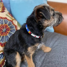 Load image into Gallery viewer, Puppy/Toy Dog beaded leather collars - Neck size 9"-11" (23-29cm) 1/2" (1.5cm) wide - Click to select colour Scott's of London