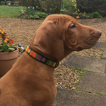 Load image into Gallery viewer, Medium breed (wide) beaded leather Dog Collars - Neck size 15"-17" (38-44cm)  1" (3cm) wide - Click to select colour Scott's of London