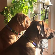 Load image into Gallery viewer, Large breed beaded leather Dog Collars - Neck size 18"-20" (46-51cm) 3/4" (2cm) wide - Click to select colour Scott's of London