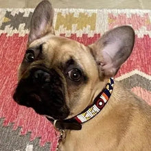 Load image into Gallery viewer, Small breed (long) beaded leather Dog Collars - Neck size 12"-14" (30-36cm) 3/4" (2cm) wide - Click to select colour Scott's of London