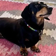 Load image into Gallery viewer, Puppy/Toy Dog beaded leather collars - Neck size 9"-11" (23-29cm) 1/2" (1.5cm) wide - Click to select colour Scott's of London
