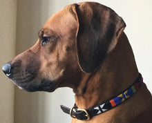 Load image into Gallery viewer, Large breed beaded leather Dog Collars - Neck size 18"-20" (46-51cm) 3/4" (2cm) wide - Click to select colour Scott's of London