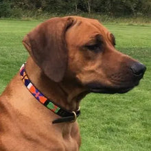 Load image into Gallery viewer, Large breed beaded leather Dog Collars - Neck size 18"-20" (46-51cm) 3/4" (2cm) wide - Click to select colour Scott's of London