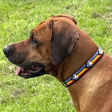 Load image into Gallery viewer, Large breed beaded leather Dog Collars - Neck size 18"-20" (46-51cm) 3/4" (2cm) wide - Click to select colour Scott's of London