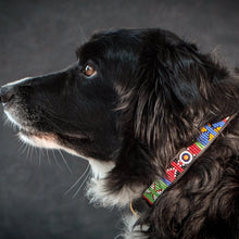 Load image into Gallery viewer, Medium breed beaded leather Dog Collars - Neck size 15"-17" (38-44cm) 3/4" (2cm) wide - Click to select colour Scott's of London