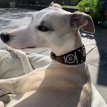 Load image into Gallery viewer, Whippet beaded leather Dog Collars - Neck size 11"-13" (28-34cm) 2" (5cm) wide - Click to select colour Scott's of London